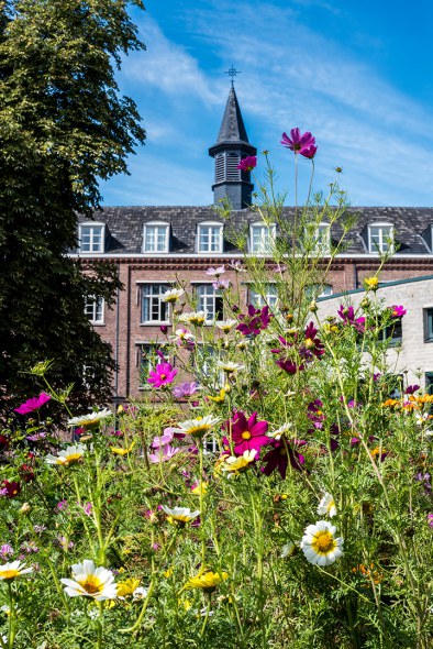 -dsc0487-missiehuis-en-bloemen-staande-foto.jpg